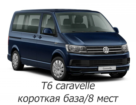 EVA автоковрики для Volkswagen T6 Caravelle 2015-2020 8 мест (короткая база) — t6-8m